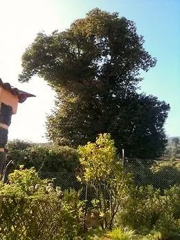 Tatil Evi Rural Llanadas Los Realejos