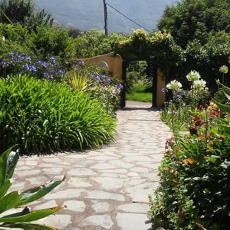 Rural Llanadas