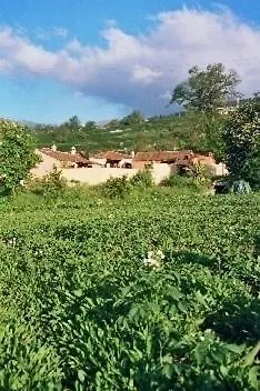 Rural Llanadas Holiday home Los Realejos